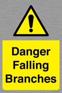 Danger Falling Branches